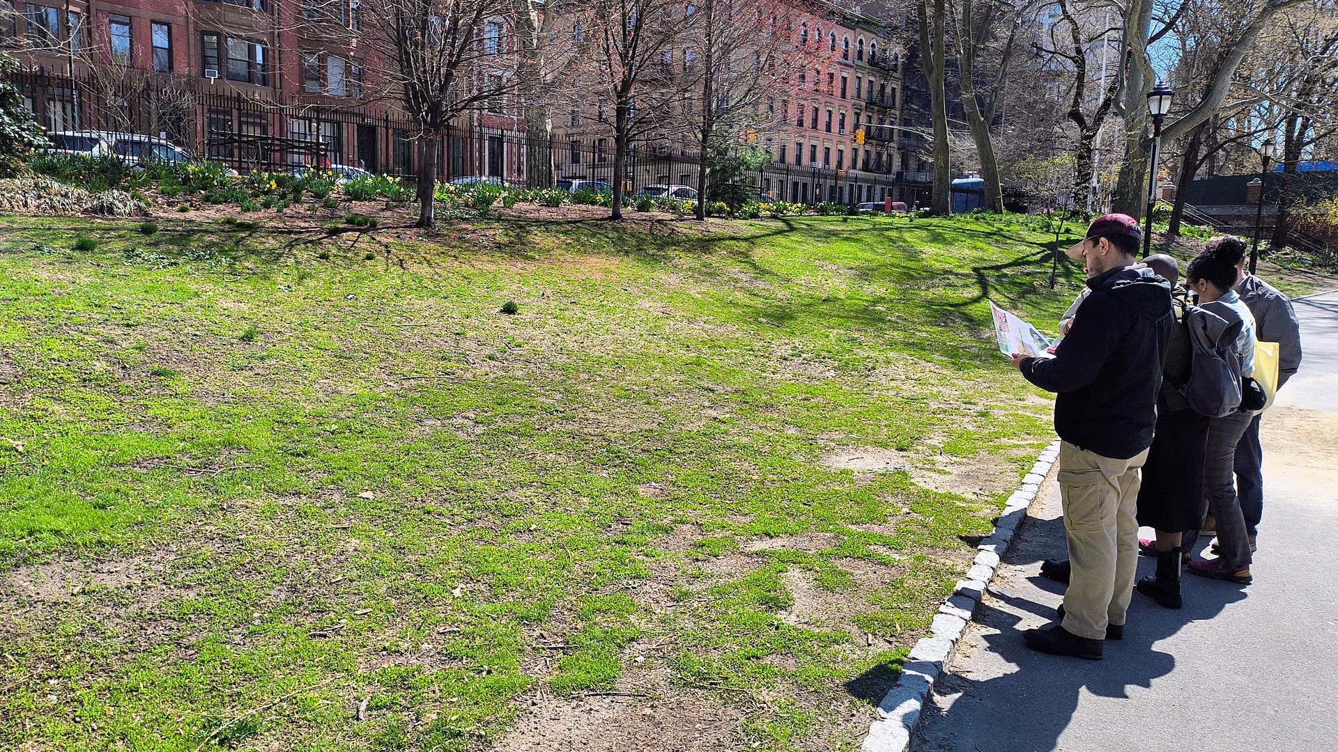 Compacted lawn on the mall
